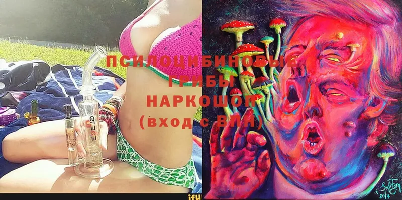 Галлюциногенные грибы MAGIC MUSHROOMS Ишим